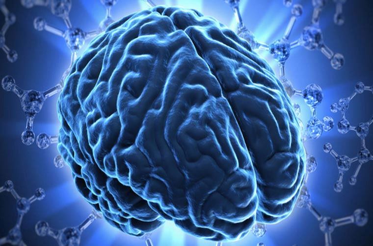 Shocking Facts About The Human Brain