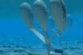 New electricity generator from the ocean