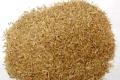 Use beer residue to generate electricity
