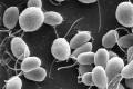 New opportunities in making hydrogen