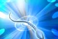 Robot works like sperm