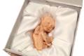 Make fetus with a 3D printer