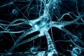 Breakthrough: Find a 'brain replacement' method to treat neurological diseases