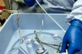 New anti-bacterial material
