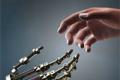 Complex relationship between humans and robots