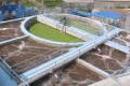 Technology extraction of rare metals from waste water