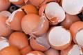 Turn the eggshell into a ceramic