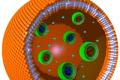 Successfully build the first plastic cell