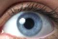 Computer equipment mimics the human senses