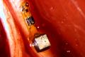 Smart dust - Micro sensor implanted in the brain, real-time monitoring