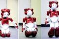 Robot EMIEW2 controls posture as a human