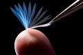 Super metamaterials can lift a mass of 1000 times it