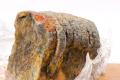 Food packaging anti-mold