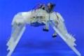 Robot made from 3D printing technology