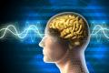 Brain sharp thanks to thinking