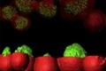 Studying bacteria using 3D printing technology