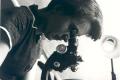 The accidental scientific discovery possible