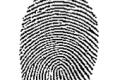 New technique to detect fingerprints on wet paper