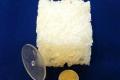 Holland makes harmless plastics