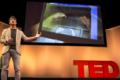 3D computer 'embedded' the user's hands into the screen
