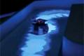 Robot simulates herd