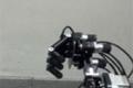 Invincible robot in the game of rock paper scissors