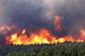 Russia develops mines to fight forest fires