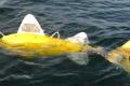 Robot fish detect contaminated water