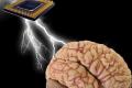 Computer training 'reading' gets human thoughts
