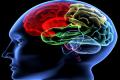 American researchers connect brain devices with machines