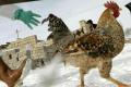 China develops facial recognition technology for chickens