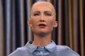 Female robots are granted citizenship rights calling for women's rights