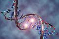 Developed a DNA decoder for just $ 1,000