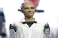 Sophia citizen robot announced to want to get married and have children