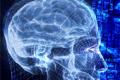 Making an electronic chip that simulates how the brain works