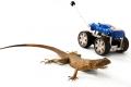 Robot has a tail like a lizard