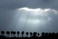 Laser rays can generate rain on demand