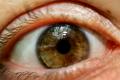 Technology 'fingerprints'