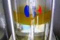 Turn garbage into oil