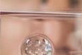 The lens combines the human eye - the insect