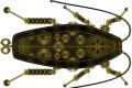 Implant machines into insects - A new future for spy technology?