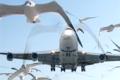 Manufactured aircraft fly as birds