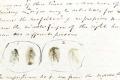 The unknown about fingerprints