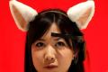 Pheasant 'cat ears' express emotions