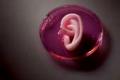 Inventions that change the future of organ transplantation