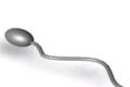 The first sperm based robot