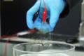 Generates electricity from toilet water