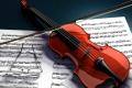 Use spider silk to make strings