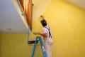 Fabrication of paint capable of generating electricity from solar energy