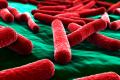Inventing a material that kills E.coli bacteria in 30 seconds